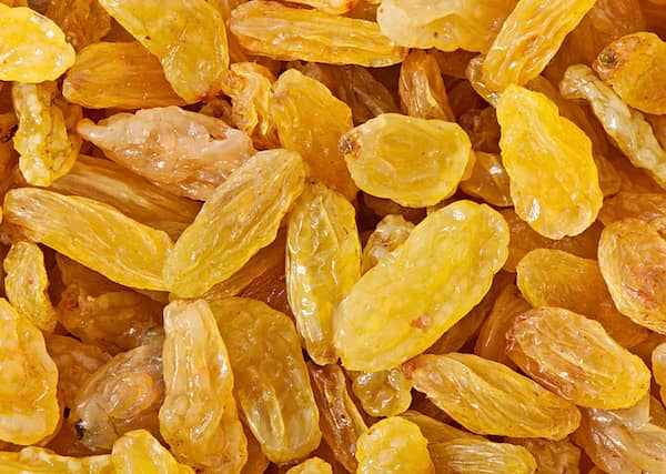 تصویر 1 از خرید کشمش گلدن طلایی + قیمت عالی باکیفیت